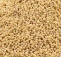 Little Millet - 500 g